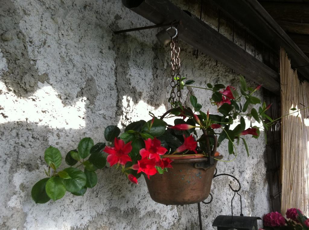 B&B Alba Sul Lago Pergine Valsugana Exterior foto